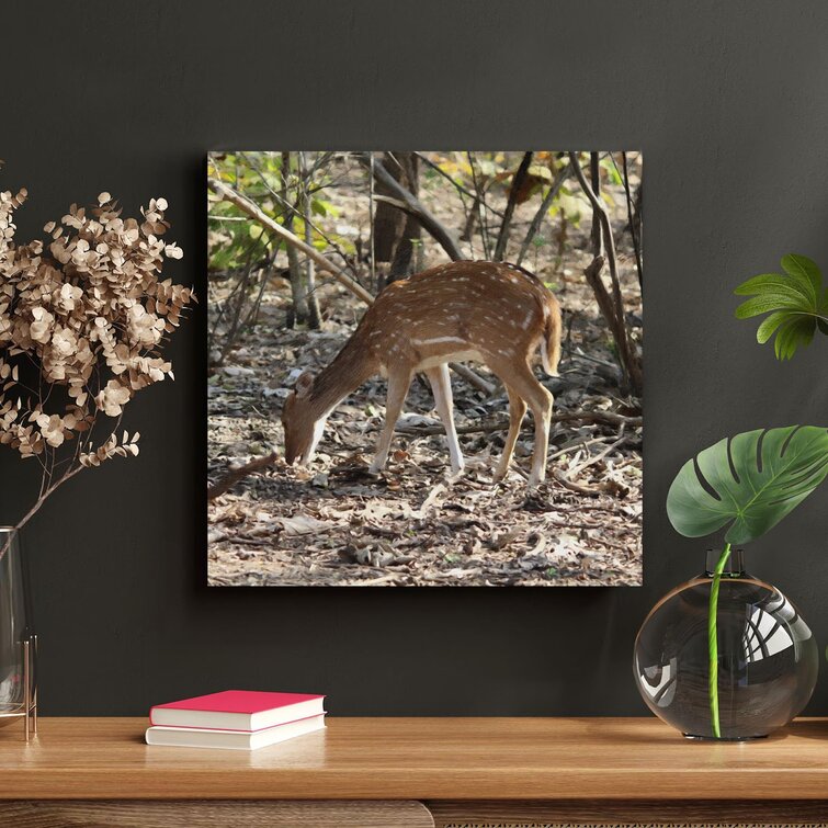 Loon Peak® Brown Deer Beside Tree On Canvas Painting | Wayfair