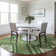 Chayden Indoor/Outdoor Chantille ACN1010 Area Rug
