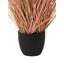 Annleigh Arrangement in Pot