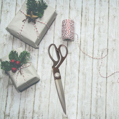 Vintiquewise Herb Shears