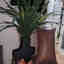 Customer photo 5 of 5