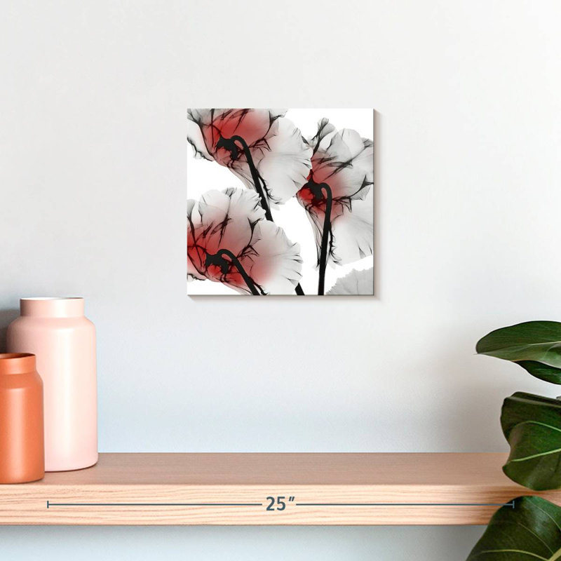 Arney Crimson Luster Cyclamen, 10" H x 10" W