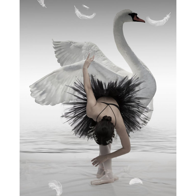 Wrapped Canvas Print, 60.96cm H x 91.44cm W