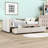 Copelyn Twin Size Velvet Upholstered Daybed with 2 Drawers-1653131655