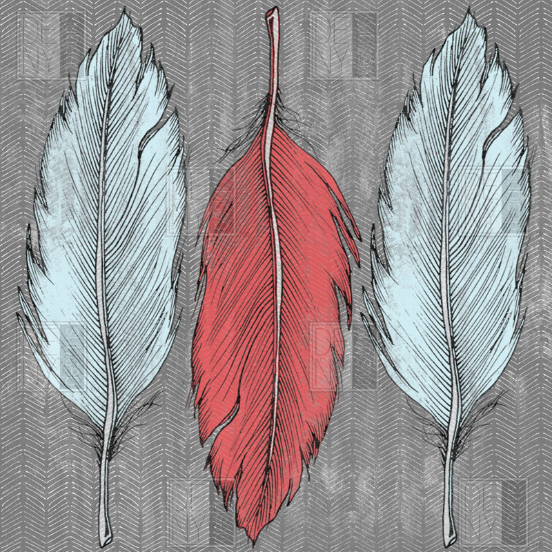 Gray and Multicolor Fabric Shower Curtain with Feather Design