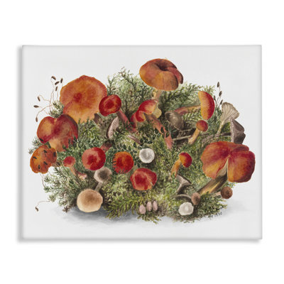 Rustic Cottage Mushrooms Canvas Wall Art by Lettered and Lined