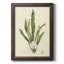 " Curtis Ferns IV " Painting Print-73984497