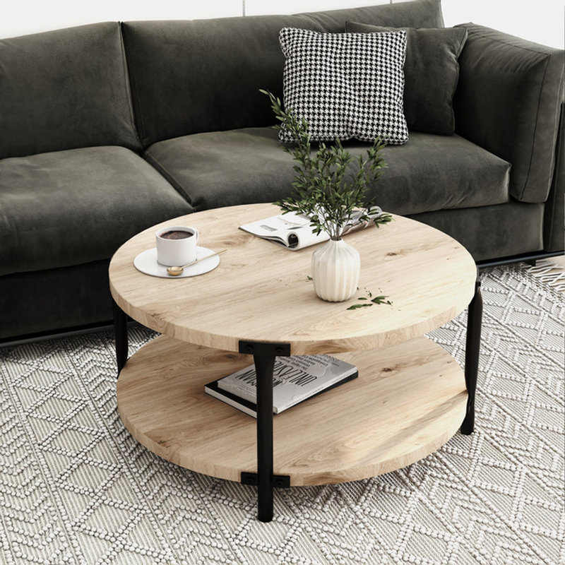 Table basse moderne moderne minimaliste, table basse à double couche en panneau de fibres à densité moyenne de 29,61 pouces, rangement ouvert et assemblage facile, convient au salon et à la salle d'étude.