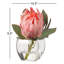 Green queen protea in glass cube-1562515575