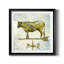 Vache Americana - cadre photo-1019224785-1019224786