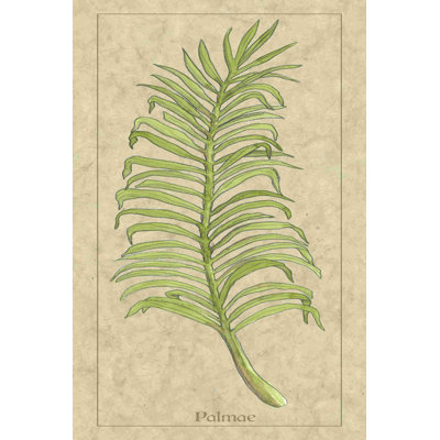Feuille de palme