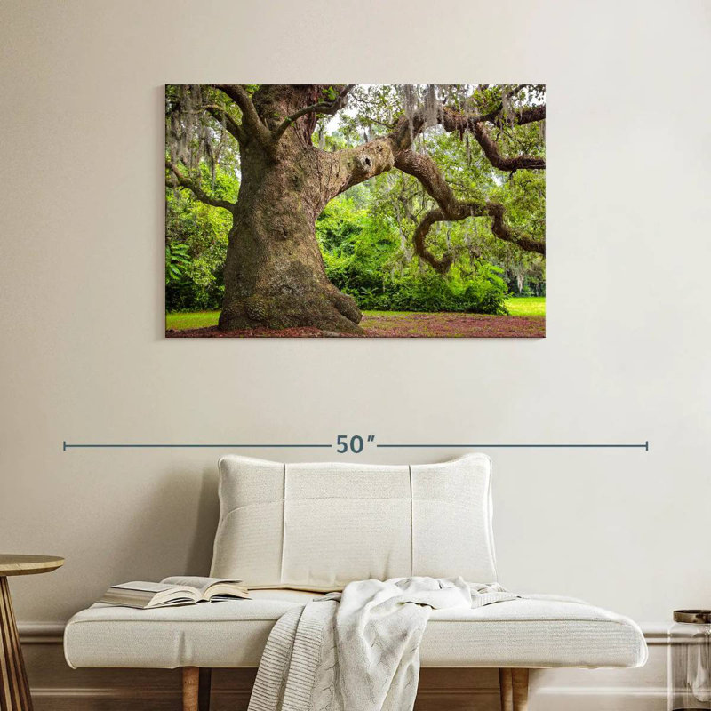 Harnek Live Oak Tree, 26" H x 39" W