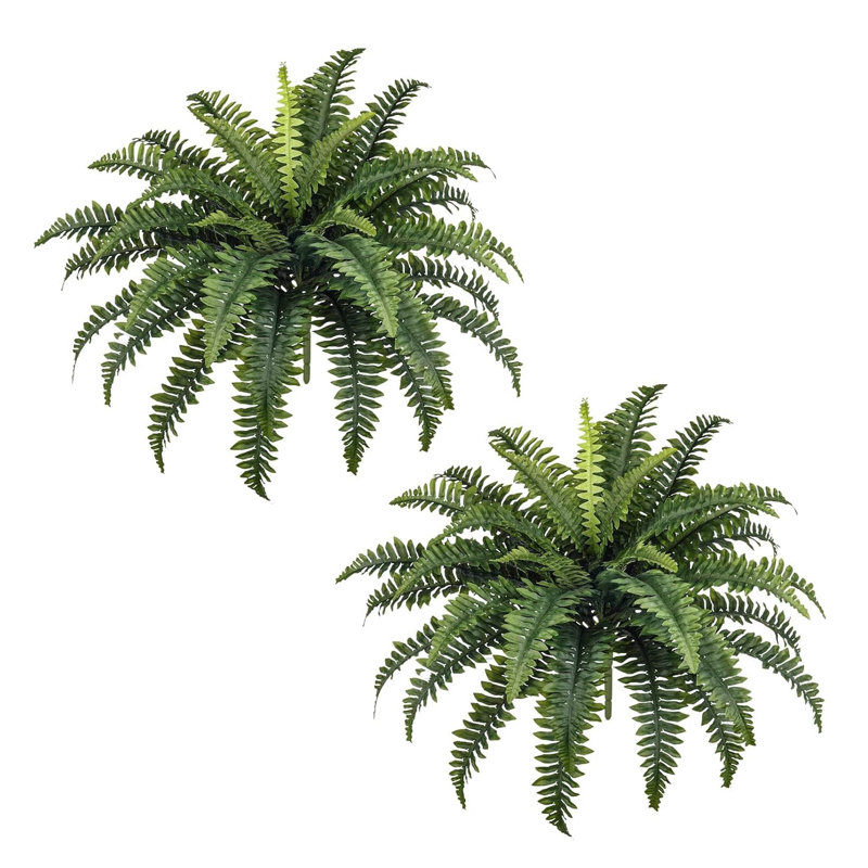 58.4cm Plant