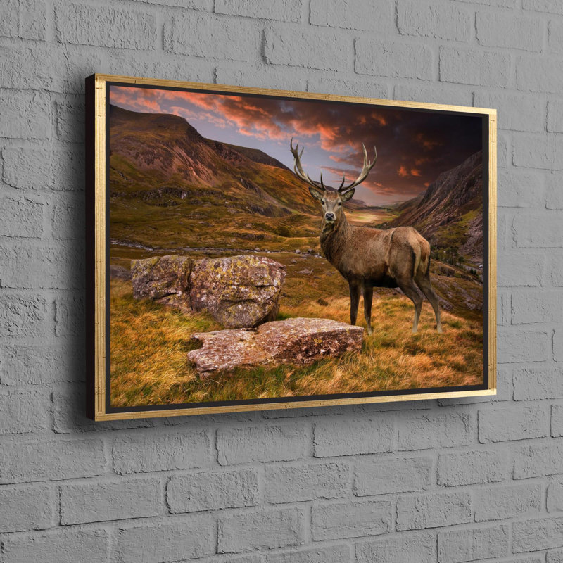 Print on Canvas, 50 cm H x 70 cm W, Gold Floater Framed