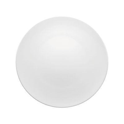TAC Porcelain Dinner Plate
