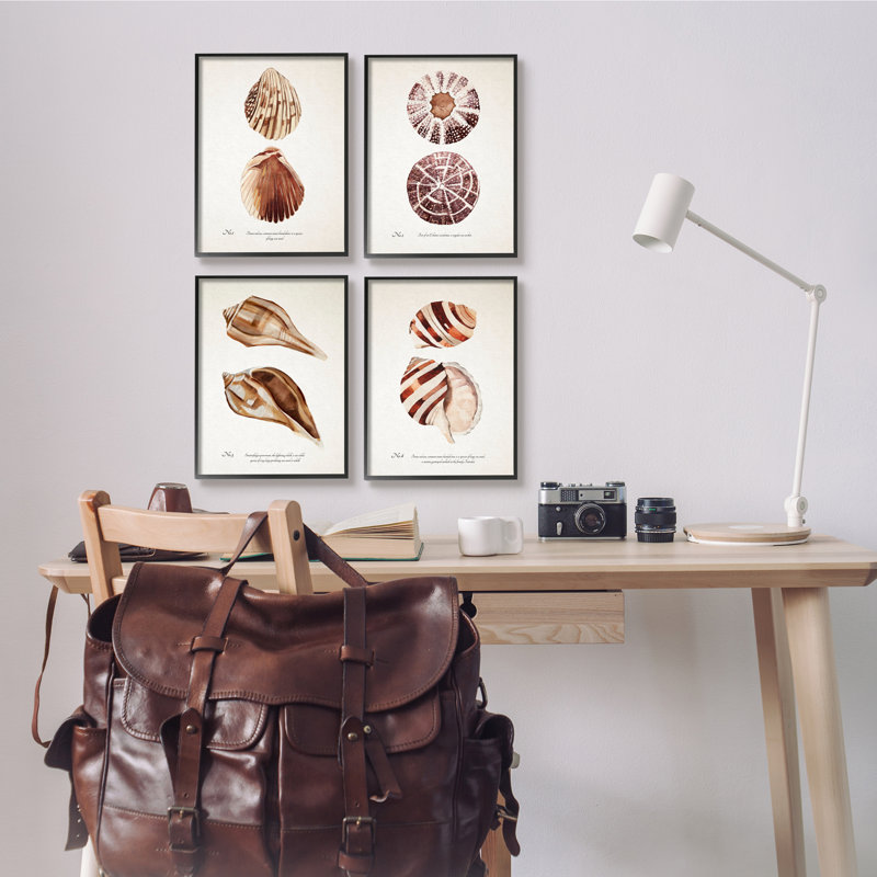 Elegant Beach Seashells Exquise Marine Life4pcAnnie Warren, Giclée encadrée noir minuit, H 11 po x l 14 po