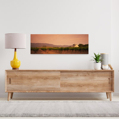 Arbres dans un vignoble, vallée de Napa, Californie, États-Unis, art abstrait contemporain, arbre de montagne