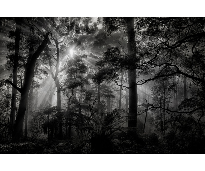 Wrapped Canvas Print, 50.8 cm H x 76.2 cm W