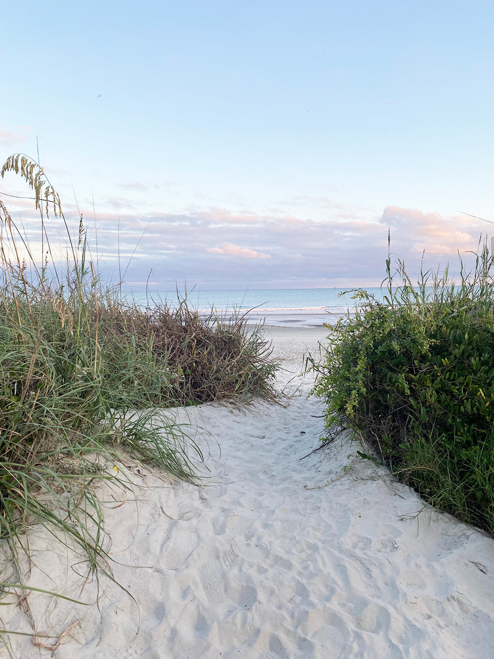 Dovecove Sandy Path to Serenity Canvas Art | Wayfair