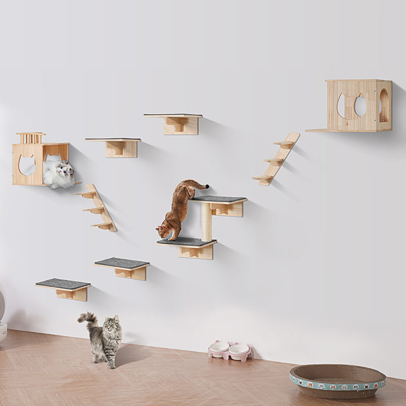 Ensemble de 9 tablettes murales pour chat avec étagères