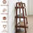 Mareshah Ladder Bookcase