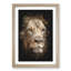 Face of a Lion Paint Splash - Picture Frame Graphic Art-62796474-62796475