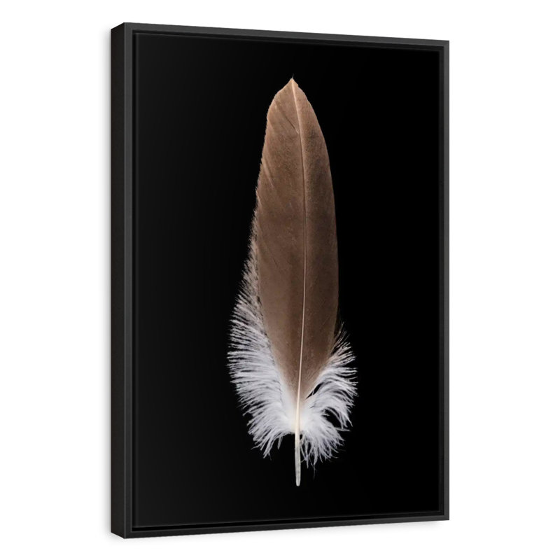 Eagle's Brown Feather, 25" x 37", Floating Frame Black