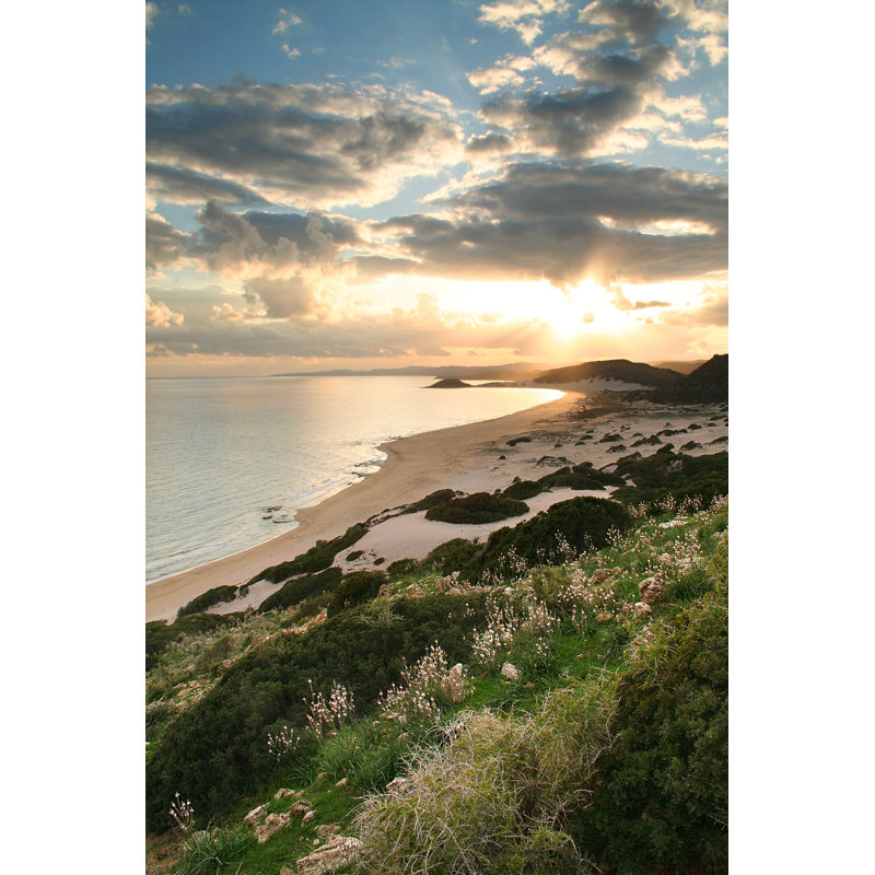 Golden Beach - Wrapped Canvas Print, 91cm H x 61cm W x 3.8cm D