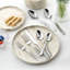 Lorren Home Trends 42 Piece Stainless Steel Flatware Set, Service for 8, Dishwasher Safe