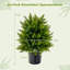55cm Faux Pine Plant in Pot