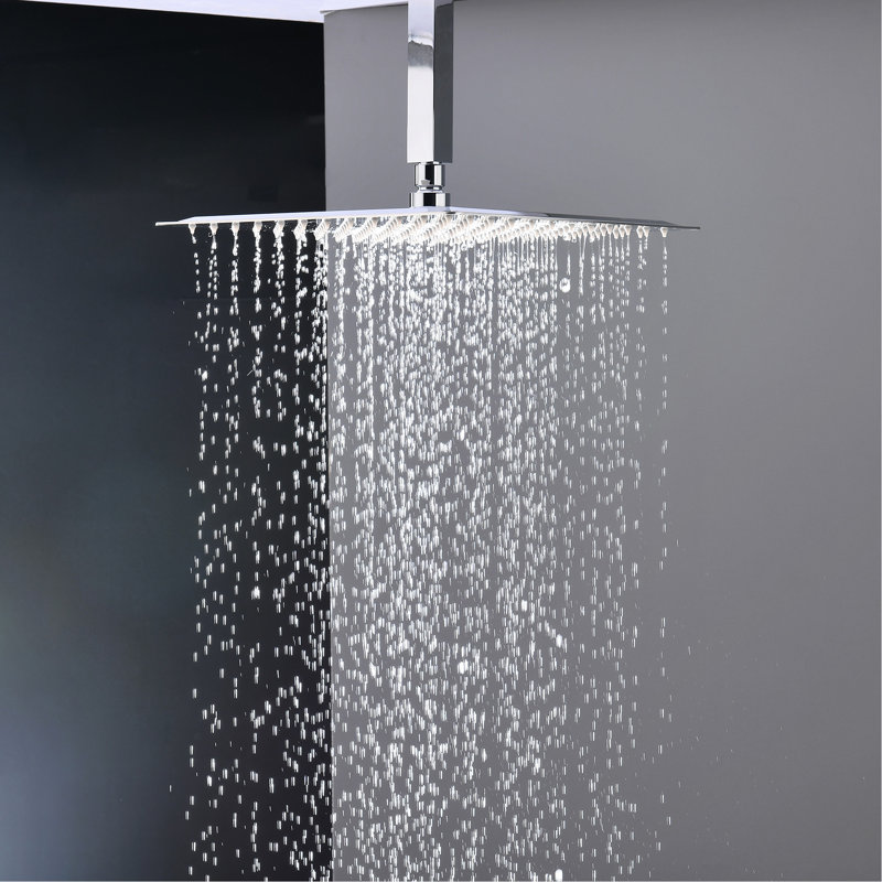 Pomme de douche Contemporary