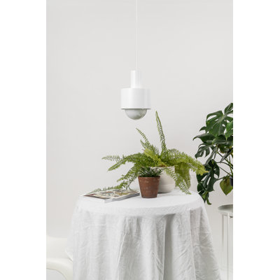 Hurtado 1 - Light Jar Pendant
