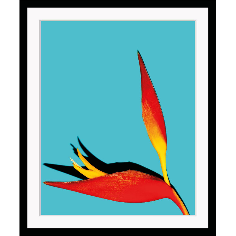 Flower - Single Picture Frame Print