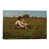 Wrapped Canvas
