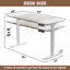 Bureau assis-debout électrique réglable en hauteur 63 po × 30 po, plateau en chêne et blanc
