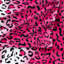Couverture luxueuse à imprimé zébré-703814842-803266433