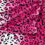Couverture luxueuse à imprimé zébré-803266433-703814842