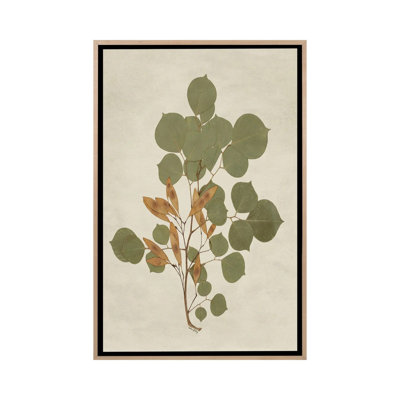Botanical Leaves III