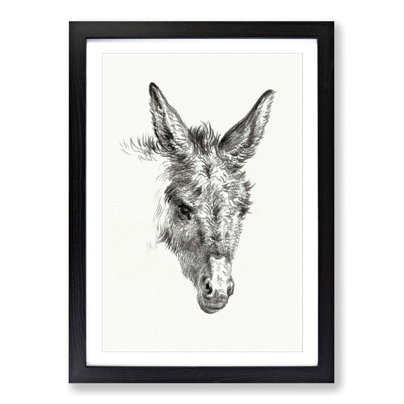 The Sketch of a Donkey by Jean Bernard - Picture Frame Drawing Print, Black Framed, 65cm H x 48cm W x 2cm D