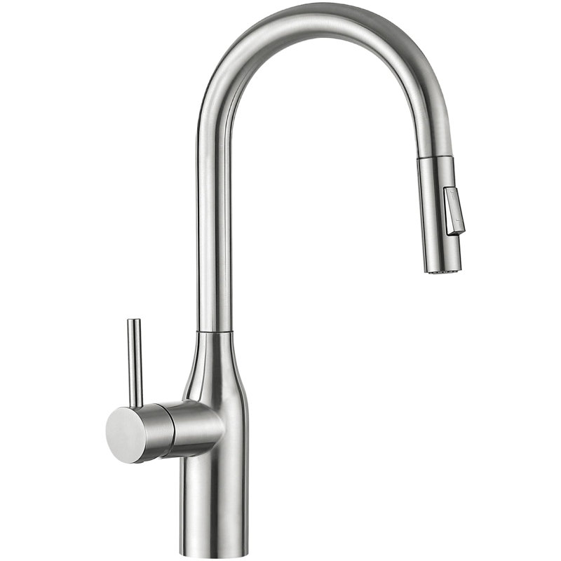 Single Handle Pull-Down Kitchen Faucet with Dual Spray, Swivel Spout in Brushed Nickel