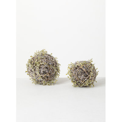 Asmar Decorative Accent