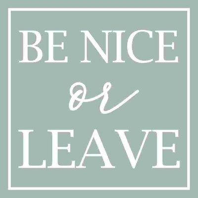 " Be Nice Or Leave "