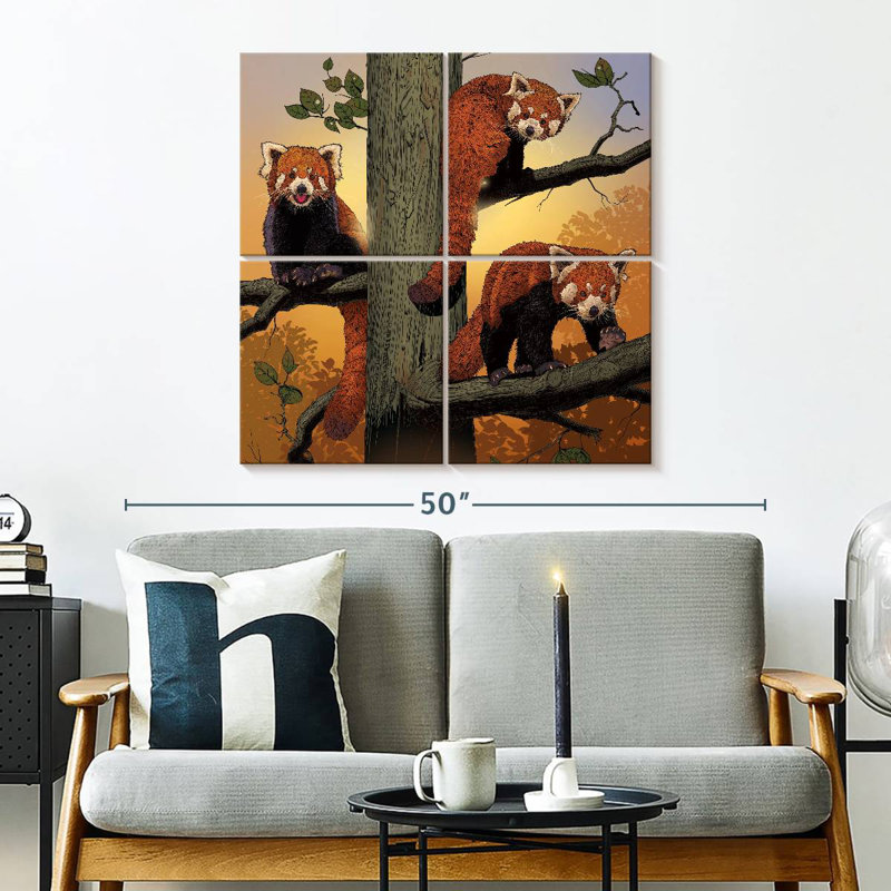 Brampt rouge Pandas