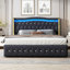 Danayjah Upholstered Bed-803665019-803665021