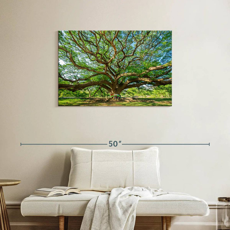Vieil arbre Harnek, H 24 po x l 36 po