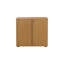 Buariki 2 -Door Storage Cabinet-16413191