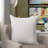 Reversible Pillow Insert-1443949589