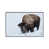White Framed is unavailable