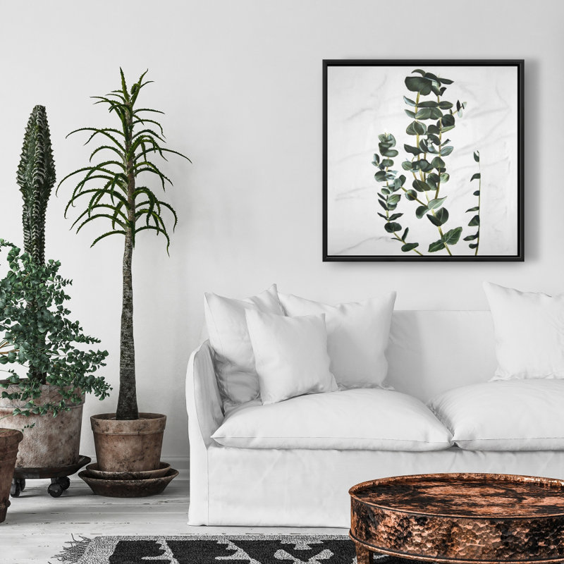 " Eucalyptus Stems "