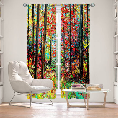 Fayyad Room Darkening Curtain Pair